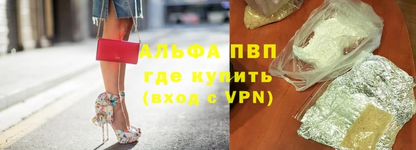 стафф Медногорск