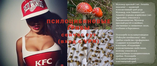 mdpv Мегион