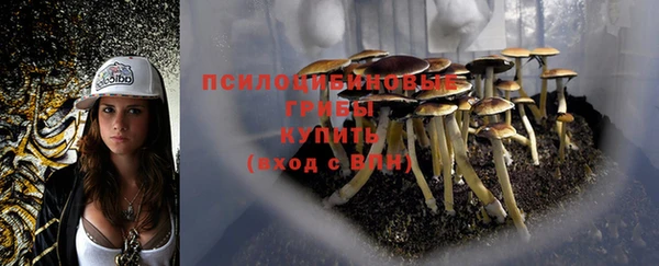 синтетический гашиш Медвежьегорск