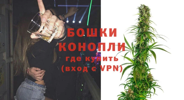 стафф Медногорск