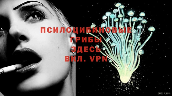стафф Медногорск